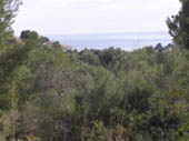 The Sea View